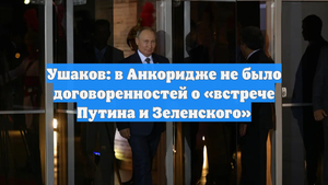 Ушаков: в Анкоридже не было договоренностей о «встрече Путина и Зеленского»