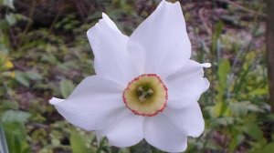 По небу плыть