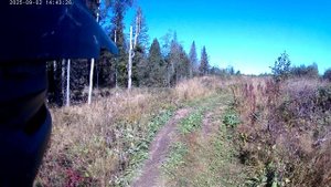 эндуро покатушки по лесам  02  сентября 2025