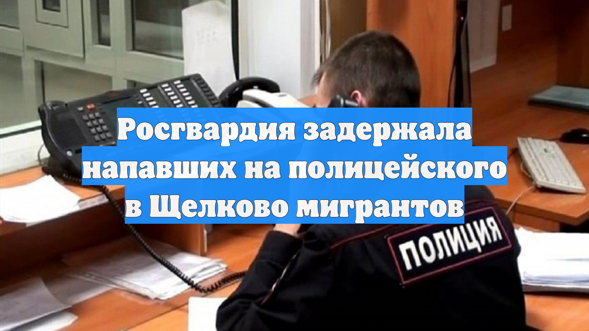 Росгвардия задержала напавших на полицейского в Щелково мигрантов