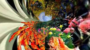 С Днём Рождения!!! Осенняя сказка 3!!!