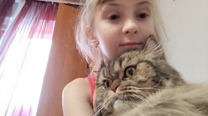 спим с котом❤