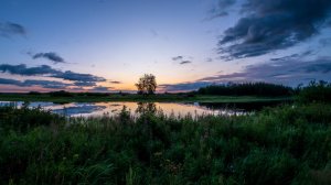 За тихой рекою...