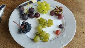 замер сахара и дегустация винограда на 2 сентября 2025 года