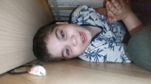 Где нафиг очнулись