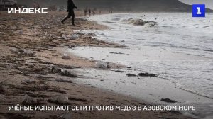 Учёные испытают сети против медуз в Азовском море