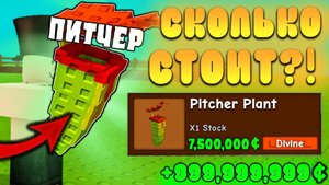 ГРОВ А ГАРДЕН РОБЛОКС🤔СКОЛЬКО МОЖНО ЗАРАБОТАТЬ С  Pitcher Plant  в Grow a Garden Питчер
