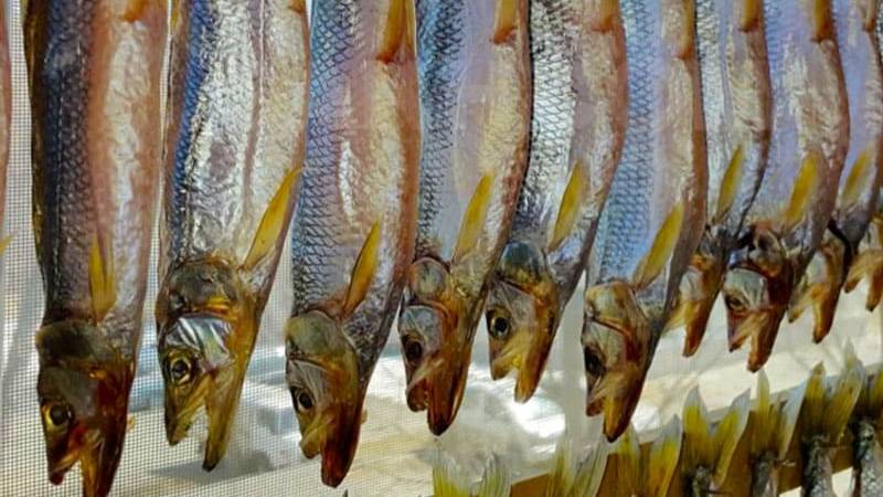 Шумит-гудит... смотреть онлайн