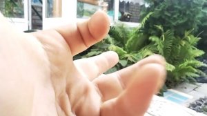 VID_20250831_152753.mp4