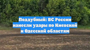 Поддубный: ВС России нанесли удары по Киевской и Одесской областям