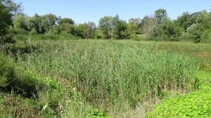 село долгое корочанский район как доехать на долгое расстояние на велосипеде