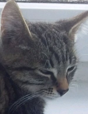 включаю ваши песни ТОЛЬКО БЕЗ МАТОВ!!!