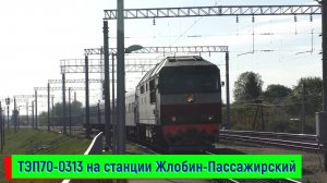 Тепловоз ТЭП70-0313 с поездом №083 Гомель – Могилёв