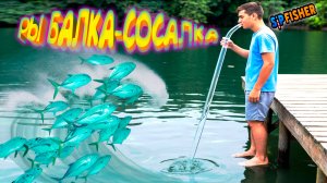 РЫБАЛКА-СОСАЛКА ◈ Sip Fisher