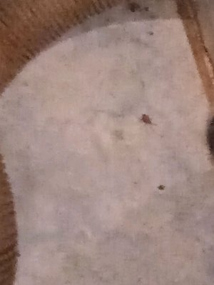 вторая часть разрушаем машинку