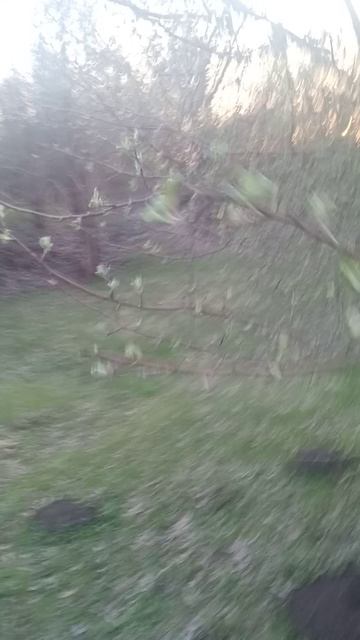 VID_20250416_184418.mp4 смотреть онлайн