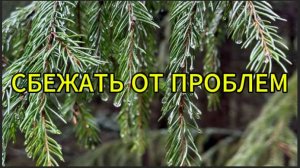 Сбежать от проблем