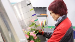 Из тепличного комплекса в Мостовском районе поставляют розы в 5 округов России