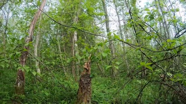 Коп по войне.ПРО КОП.Серия124. радисты (1) смотреть онлайн