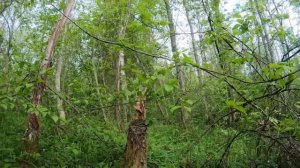 Коп по войне.ПРО КОП.Серия124. радисты (1)