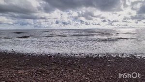 Белое море август 2025