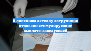 В липецком детсаду сотрудники отдавали стимулирующие выплаты заведующей