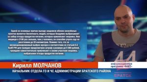 Медведи всё чаще стали выходить к жителям Братского района