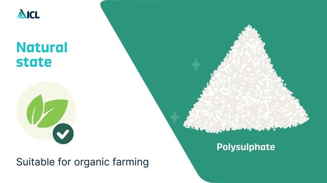 Полисульфат - информация о продукте
