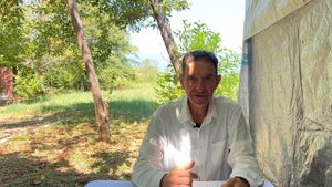 Любовь и ненависть