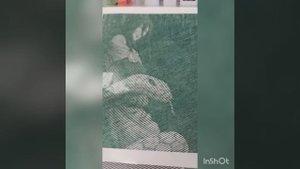 готовая работа