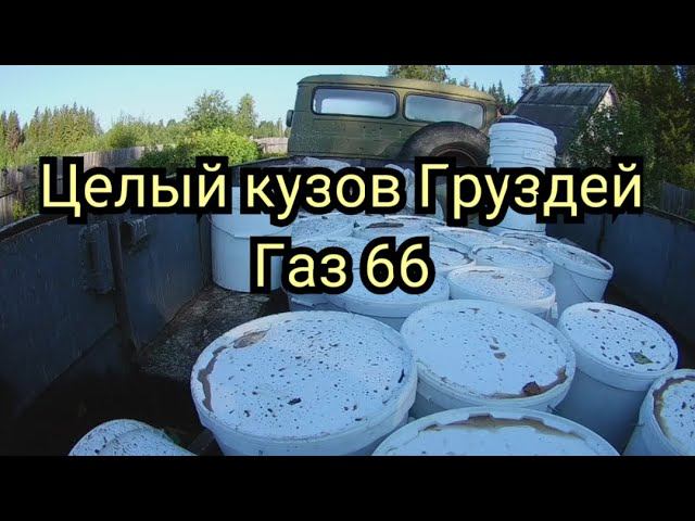 Едем на газ 66 дербанить грибы грузди смотреть онлайн