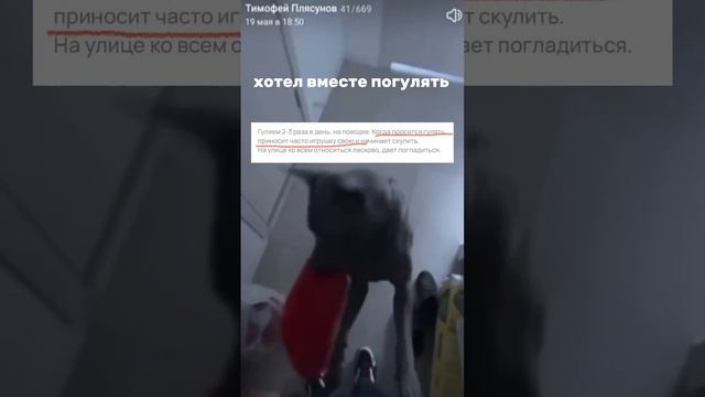 Мейсон