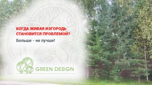 Когда живая изгородь становится проблемой?