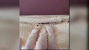 Уничтожение клопов Видное
📞+7-912-243-00-02 или пишите в месенджеры