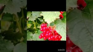 Краски летсвсе еще продолжают радовать нас, хотя уже 2 сентября