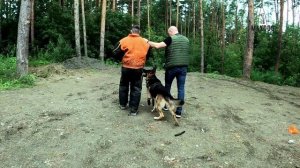 Бийск 16-17 августа 2025