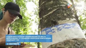 В парке "Сестрорецкий" проходит акция "Разрисуй дерево"