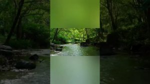 ФЕСТИВАЛЬ НАРОДНАЯ ПЕСНЯ 1968. ЮГОСЛАВИЯ