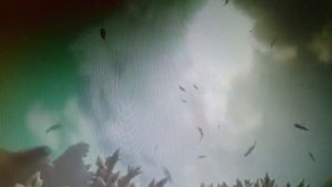 В судьбе, крутой был  поворот. читает автор Богдан Бандура.