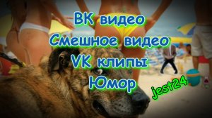 ВК видео / Смешное видео / VK клипы / Юмор