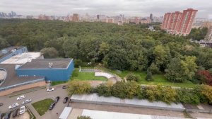 Переработка деревьев рублёвское шоссе 10 парк Фили