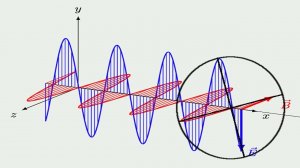 Фаза поляризованной бегущей волны