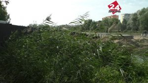 На мосту идет подготовка к укладке свай