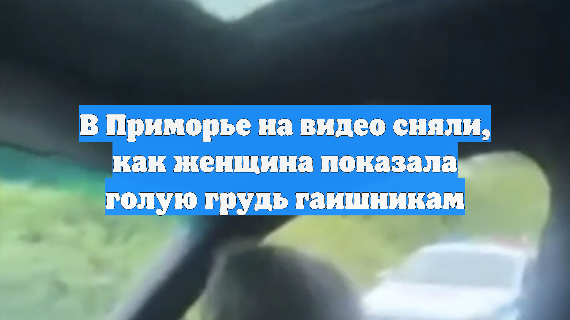 В Приморье на видео сняли, как женщина показала голую грудь гаишникам