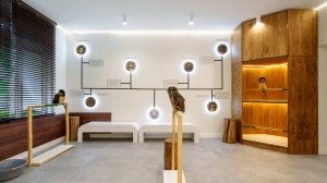 Совиный дом на арбате