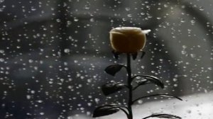 Ты приходишь...