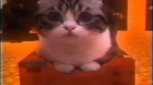 Майнкрафтовые коты