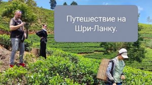 Шри-Ланка за 3 минуты