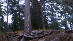 В НАСТОЯЩИХ ПЕСНЯХ СССР ГОВОРИТ ДУША