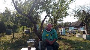 принимаем заказы на пчеломаток на 2026 г